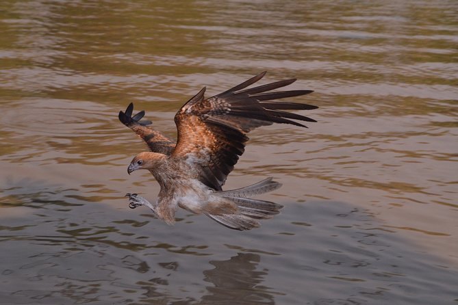 Jumping Crocodile Cruise With Lunch - Traveler Experiences and Photos