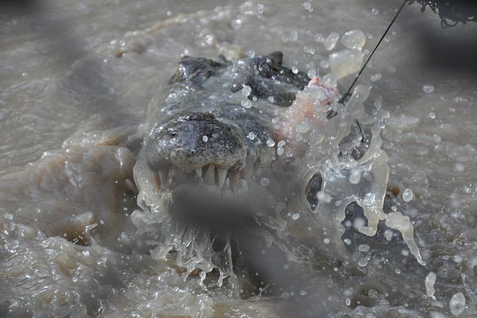 Jumping Crocodile Cruise With Lunch - Booking and Availability