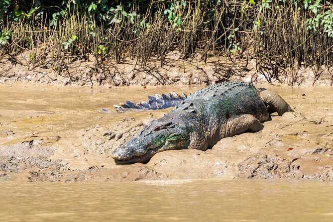 Jumping Crocodile Experience - Tour Guides and Service