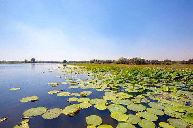 Jumping Crocs & Nature Adventure Cruise From Darwin - Viator Help Center and Terms & Conditions