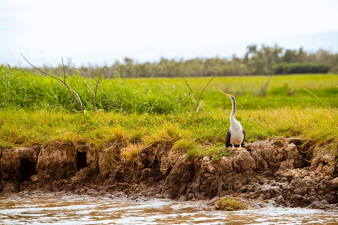 Jumping Crocs & Nature Adventure Cruise From Darwin - Common Questions