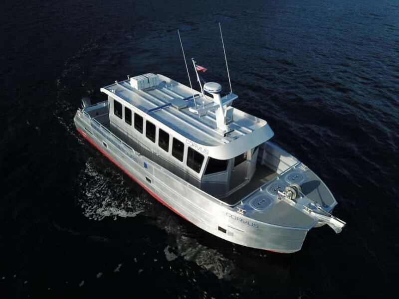 Juneau: 3.5-Hour Small Group Whale Watching Tour - An In-Depth Look at the Juneau Whale Watching Experience