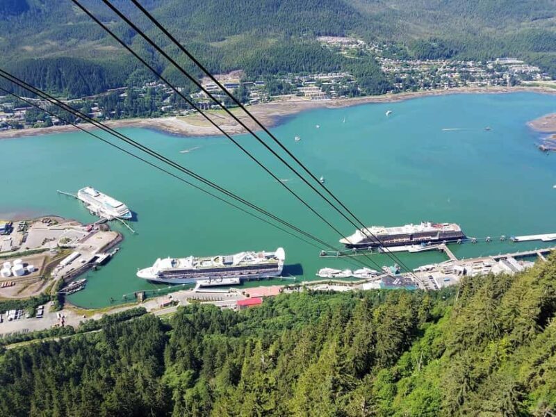 Juneau: Alaska Native Tour with Tram Ride and Meal - The Meal at Timberline Grill