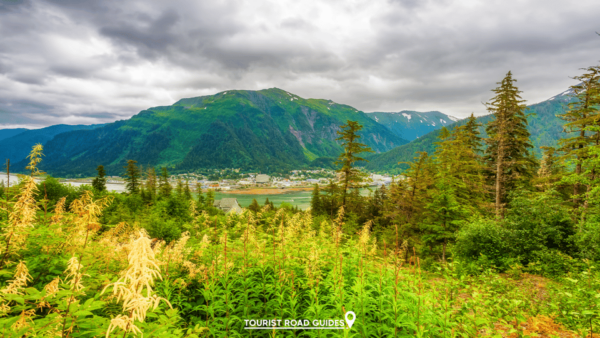 Juneau - Alaska: Selfguided at Your Own Pace - Discovering Glacier Gardens Rainforest