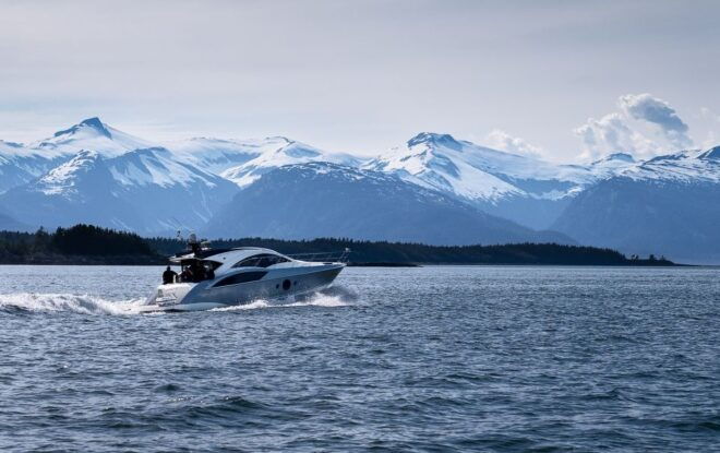 Juneau: All Inclusive Luxury Whale Watch - Private Group and Passenger Limit