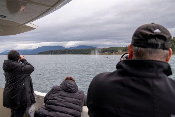 Juneau: All Inclusive Luxury Whale Watch - Common Questions