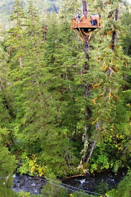 Juneau: Alpine Zipline Adventure - Attire and Accessories