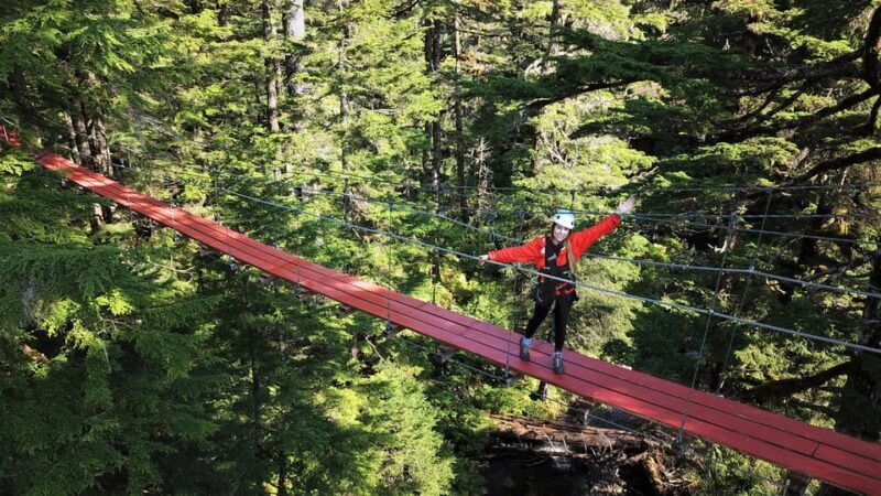Juneau: Alpine Zipline Adventure - Good To Know
