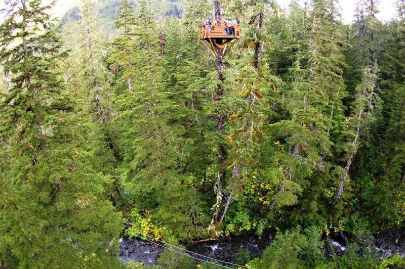 Juneau: Alpine Zipline Adventure - What to Expect on This Juneau Zipline Tour