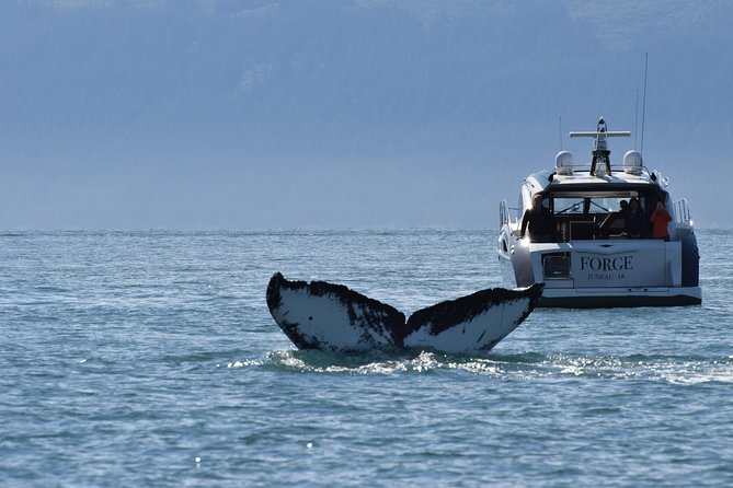Juneau by Land & Sea - Traveler Photos
