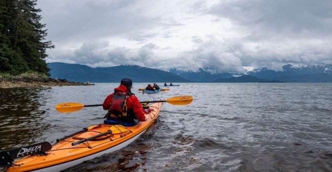 Juneau: Channel Islands Whale Watching Kayak Adventure - Full Description