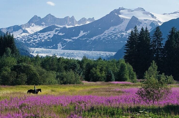Juneau: City Highlights Tour - Booking Details