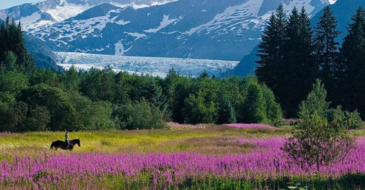 Juneau: City Highlights Tour - Highlights and Experiences