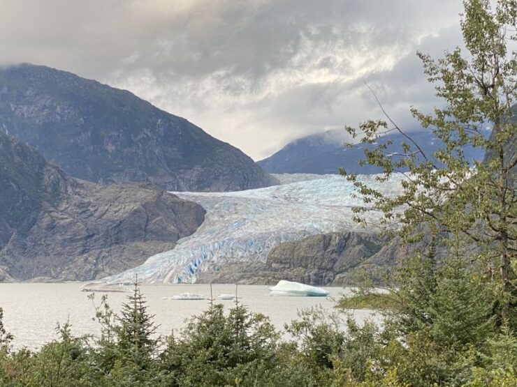 Juneau: Mendenhall Glacier and Whale Watching Tour - Good To Know