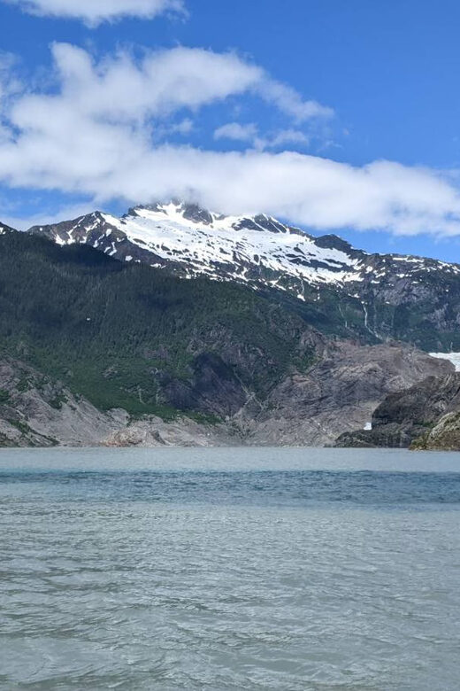 Juneau: Mendenhall Glacier Waterfall & Whale Watching Tour - Good To Know