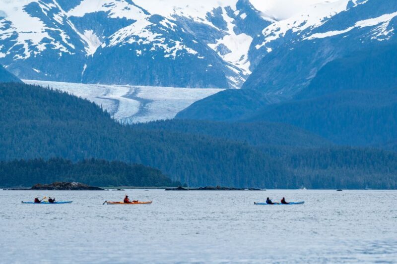 Juneau: Paddle with Whales Kayak Adventure - The Landings and Snacks
