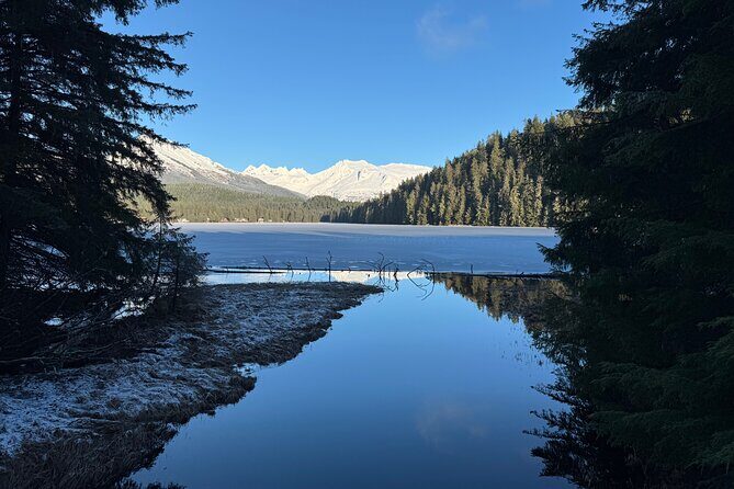 Juneau Private 3 Hour Sightseeing Tour with a Local - Final Thoughts: Who Would Love This Tour?