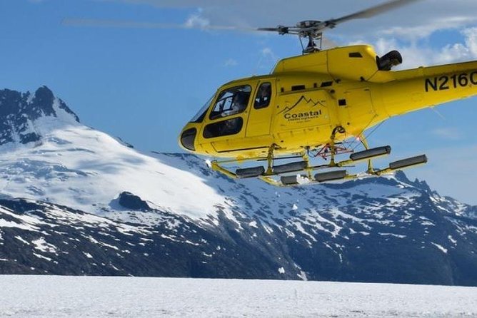Juneau Shore Excursion: Helicopter Tour and Guided Icefield Walk - Lowest Price Guarantee