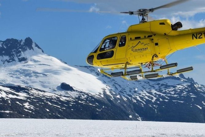 Juneau Shore Excursions: Helicopter Dogsledding Experience and Additional Glacier Landing - Select Date and Travelers