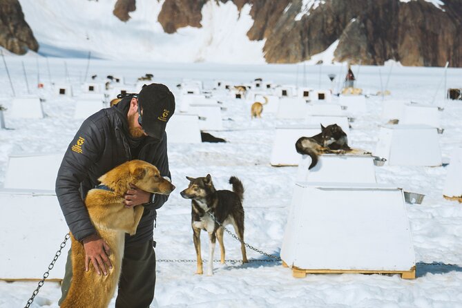 Juneau Shore Excursions: Helicopter Dogsledding Experience and Additional Glacier Landing - Excursion Overview