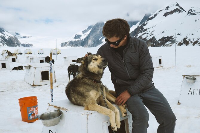 Juneau Shore Excursions: Helicopter Dogsledding Experience and Additional Glacier Landing - Common Questions