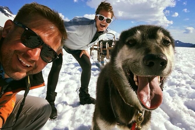 Juneau Shore Excursions: Juneau Helicopter Tour & Dogsledding Experience - Breathtaking Glacier Views