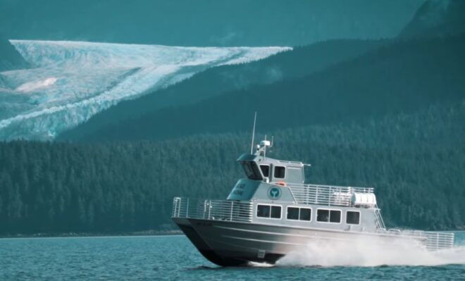 Juneau: Whale Watching and Wildlife Cruise With Local Guide - Full Description