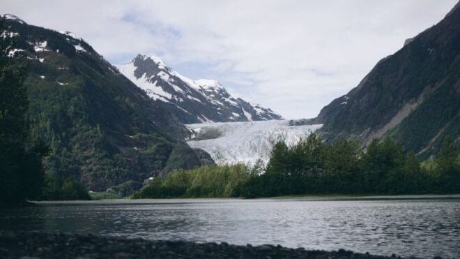 Juneau: Whale Watching Cruise With Snacks and Beverages - The Sum Up