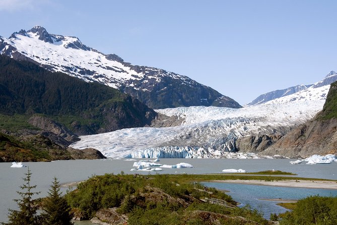 Juneau Wildlife Whale Watching & Mendenhall Glacier - What to Expect on the Tour