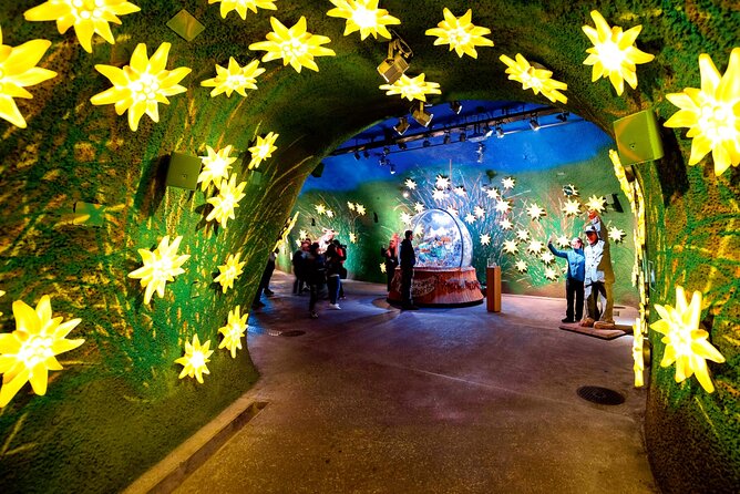 Jungfrau, Top of Europe, Small Group From Zurich - Logistics and Cancellation