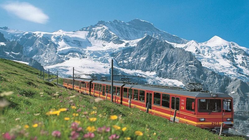 Jungfraujoch & Bernese Alps Full-Day Guided Tour - The useful details at a glance