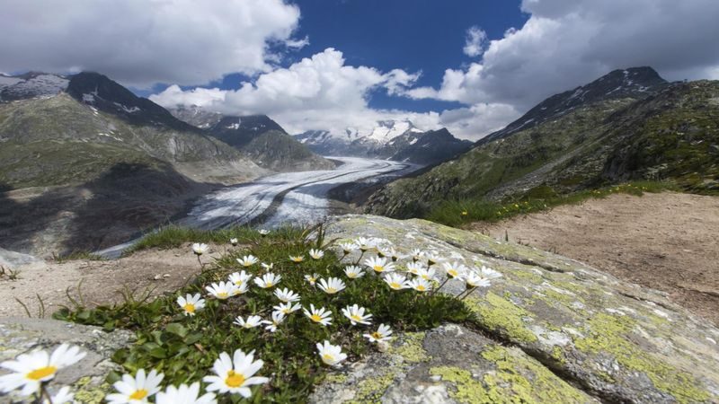 Jungfraujoch & Bernese Alps Full-Day Guided Tour - The schedule: organized, with a trade-off