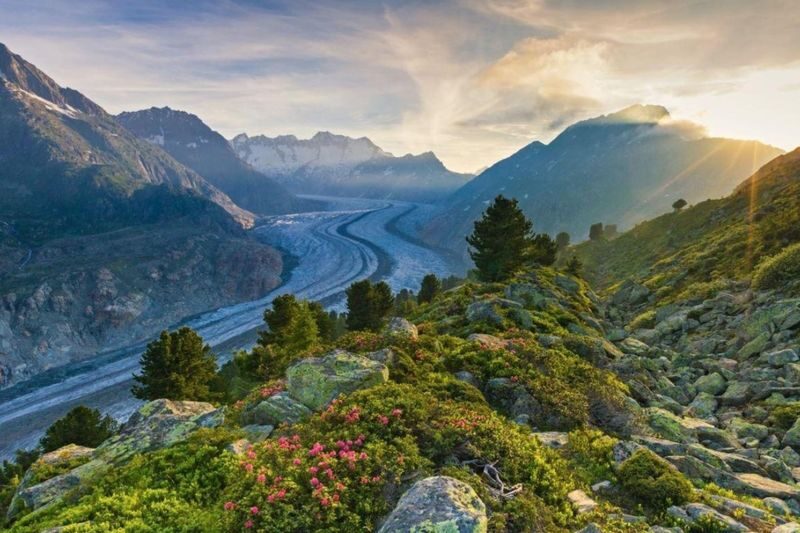 Jungfraujoch Day Tour with Transport - The value of transport at $388.80