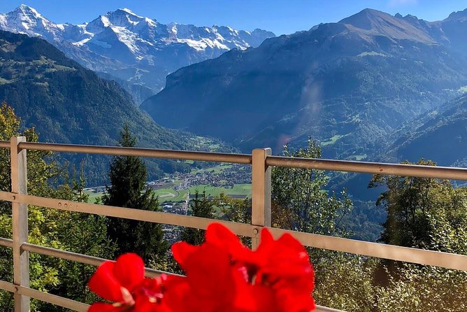 Jungfraujoch (Private Tour) - Pickup and Cancellation Policy