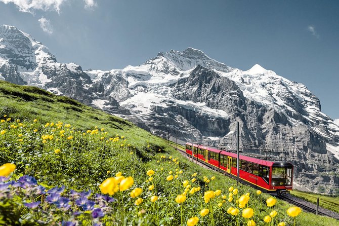 Jungfraujoch: Top of Europe Day Trip From Zurich - Why Choose This Tour