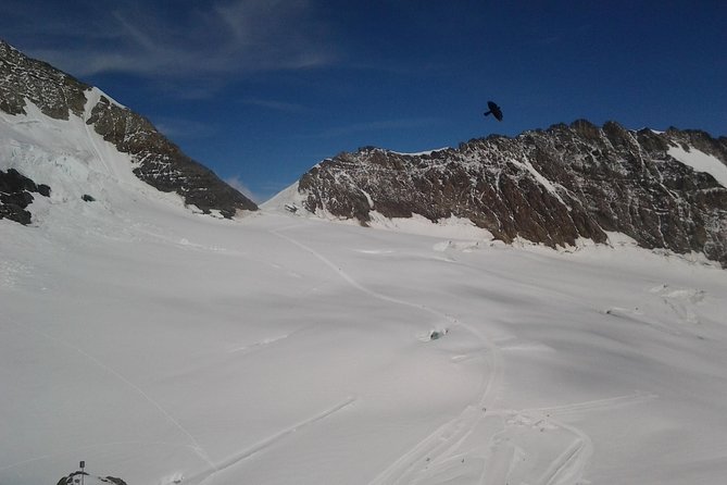 Jungfraujoch “Top of Europe” Small-Group Tour From Bern - Pricing and Booking Details