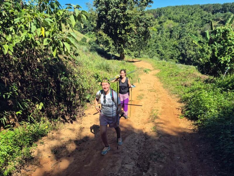 Jungle Adventure  Hiking & Bamboo Cooking (Small Group) - An In-Depth Look at the Jungle Adventure Tour