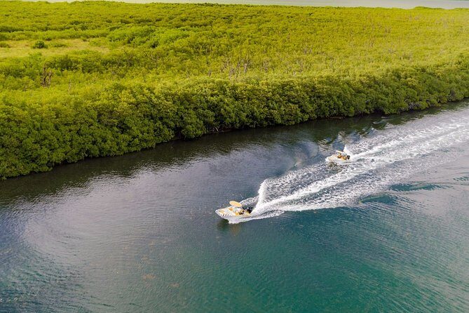 Jungle Adventure Tour! Speed boat and Snorkeling (Single) - In-Depth: What to Expect on This Jungle Adventure Tour