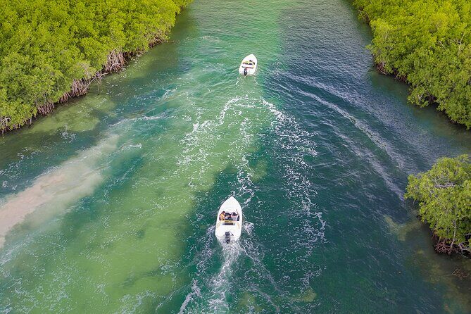 Jungle Adventure Tour! Speed boat and Snorkeling (Single) - Who Should Consider This Tour?