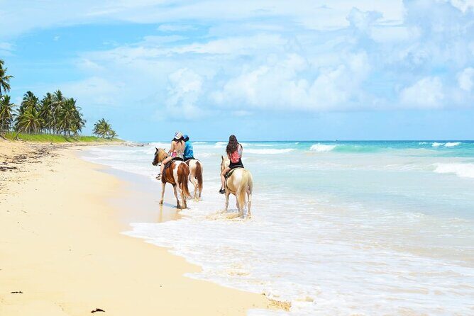 Jungle and Beach Horse Ridding round trip transportatin. - Introduction