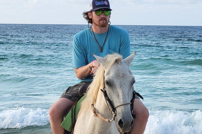 Jungle and Beach Horse Ridding round trip transportatin. - Good To Know