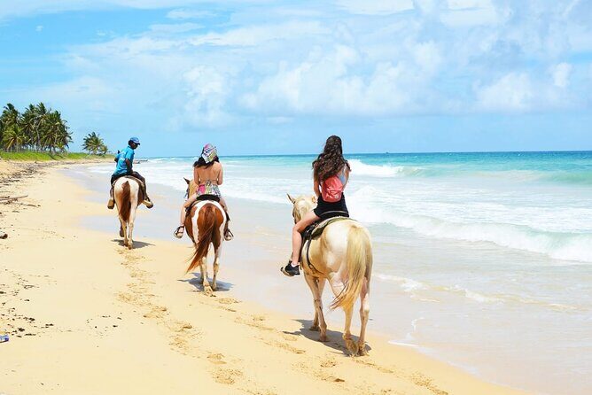 Jungle and Beach Horse Ridding round trip transportatin. - Authentic Experiences & Highlights from Reviews