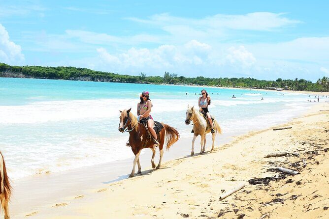Jungle and Beach Horse Ridding round trip transportatin. - The Sum Up