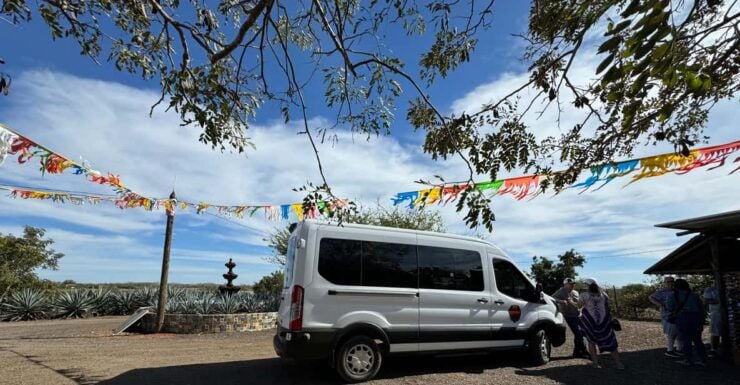 Jungle and Beach Horse Ride + Lunch + Mezcal - Good To Know