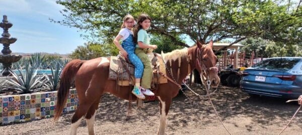 Jungle and Beach Horse Ride + Lunch + Mezcal - Mezcal Tasting Adventure