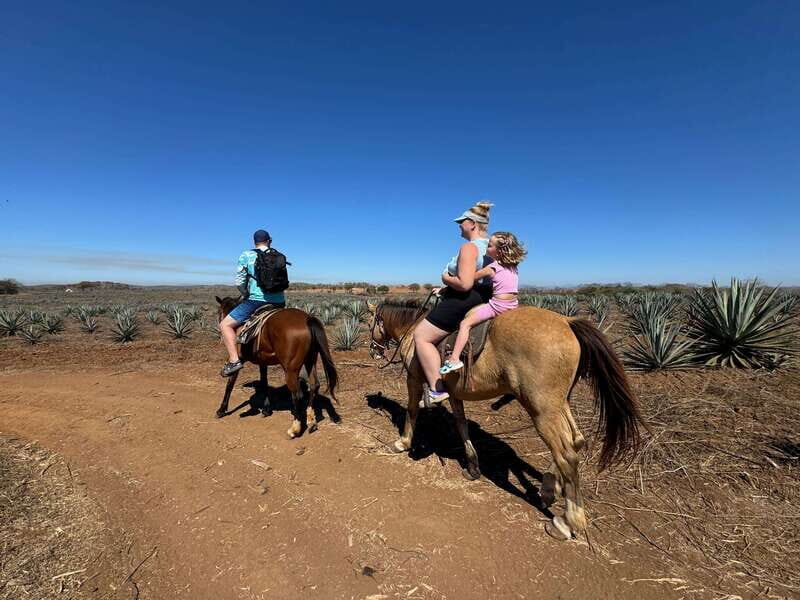 Jungle and beach horseback ride + lunch + mezcal - Jungle and Beach Horseback Ride + Lunch + Mezcal: A Perfect Mix of Adventure and Flavor in Sinaloa