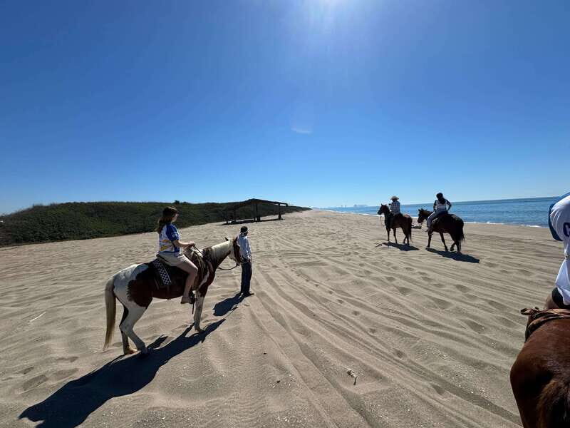 Jungle and beach horseback ride + lunch + mezcal - Good To Know