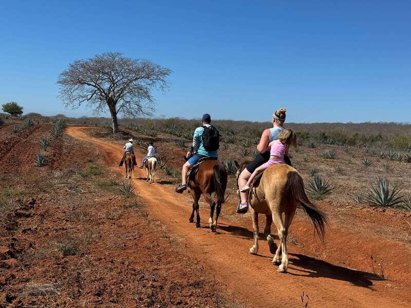 Jungle and beach horseback ride + lunch + mezcal - Who Should Consider This Tour?