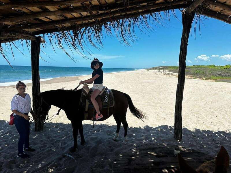 Jungle and beach horseback ride + lunch + mezcal - The Sum Up
