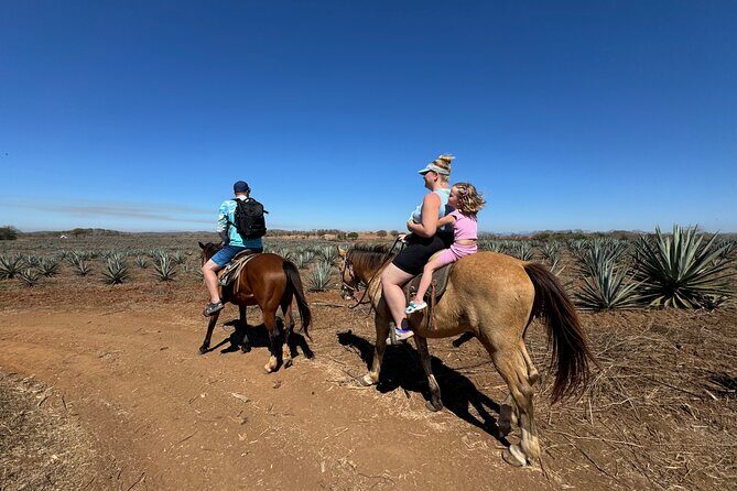Jungle and Beach Horseback ride Tour in Pacific Coast - Good To Know